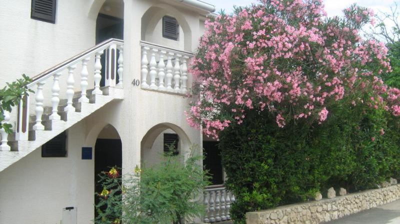 Apartments Mint Povljana - 50M From Sandy Beach Экстерьер фото